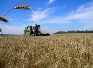 Світові ціни на продовольчі товари знизилися в лютому сьомий місяць поспіль