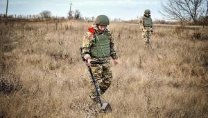 Компенсацію передбачили для фермерів Дніпропетровської, Миколаївської, Херсонської та Київської областей