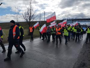 Імпорт з України не впливає суттєво на зниження цін на зерно в Польщі