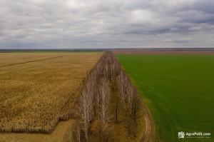 Перелік передбачених реформ включає земельну