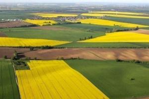 За три роки було укладено понад чверть мільйона угод купівлі-продажу землі