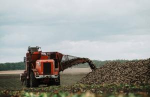 Аграрії Вінниччини розпочали збирання цукрових буряків