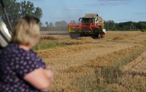 Цінова динаміка на ринку земель в Україні від початку року залишається в основному стабільною