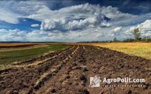 Фахівці прогнозують, що до кінця 2024 року значних змін у вартості землі в Україні не відбудеться