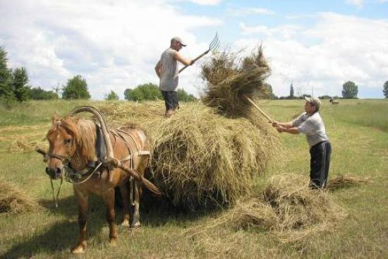 Фермери обурені діями нового міністра АПК — точка зору 