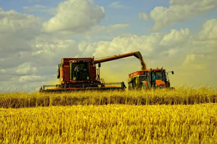 ЄС може прийняти рішення зі значними наслідками для українського агробізнесу ― експерт 