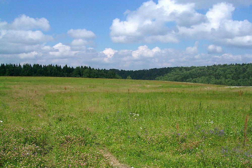 В Україні хочуть обкласти податком кожен гектар землі ― джерело