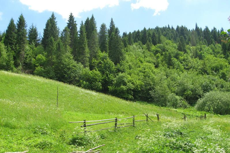 Новий очільник Держгеокадастру має завершити інвентаризацію земель