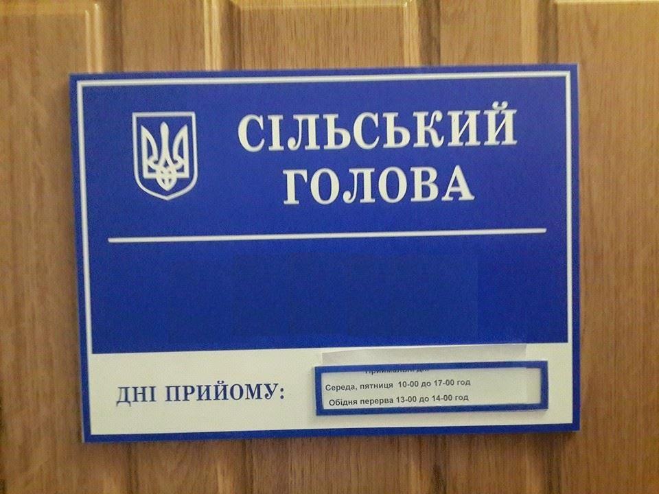 В Україні практично немає підготовки сільських голів