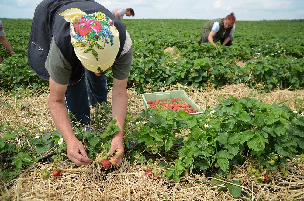 На створення «ідеальної громади» потрібно мінімум 2 роки