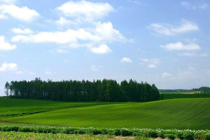 Не варто очікувати запровадження повноцінного ринку земель в найближчі 3-5 років