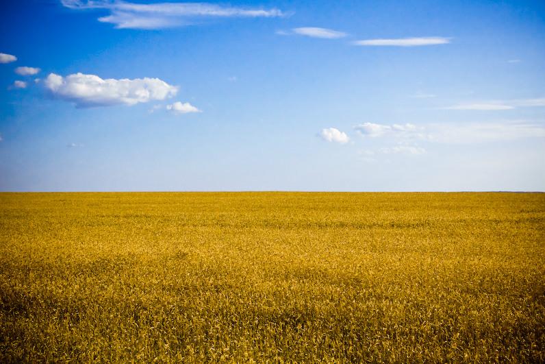 Земельний банк збільшився на 110 тис. га 