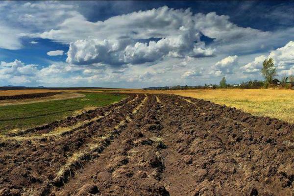 Мораторій діятиме доки не приймуть закон про обіг ринку землі