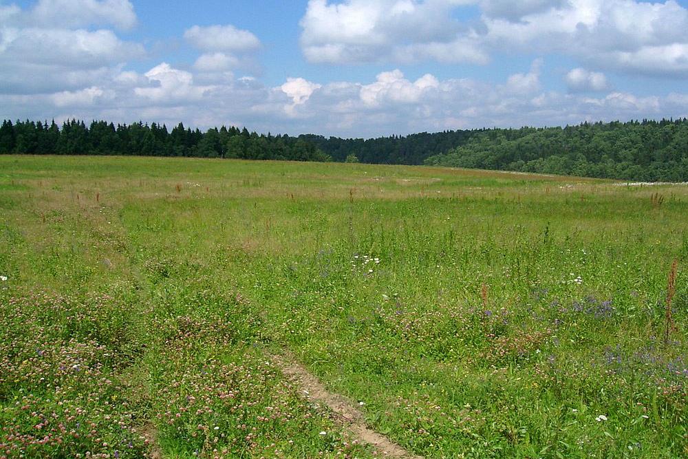 Розкрито схему незаконного заволодіння землями на Хмельниччині 