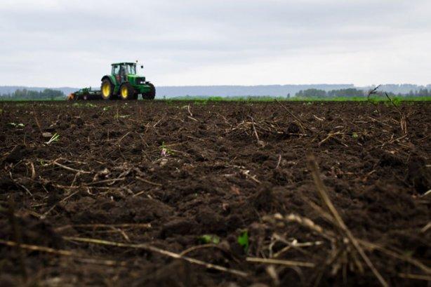 Ринковий обіг сільгоспземель через купівлю-продаж можливий за рік