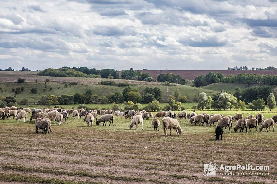 Після відкриття ринку землі вартість гектару виросте втричі