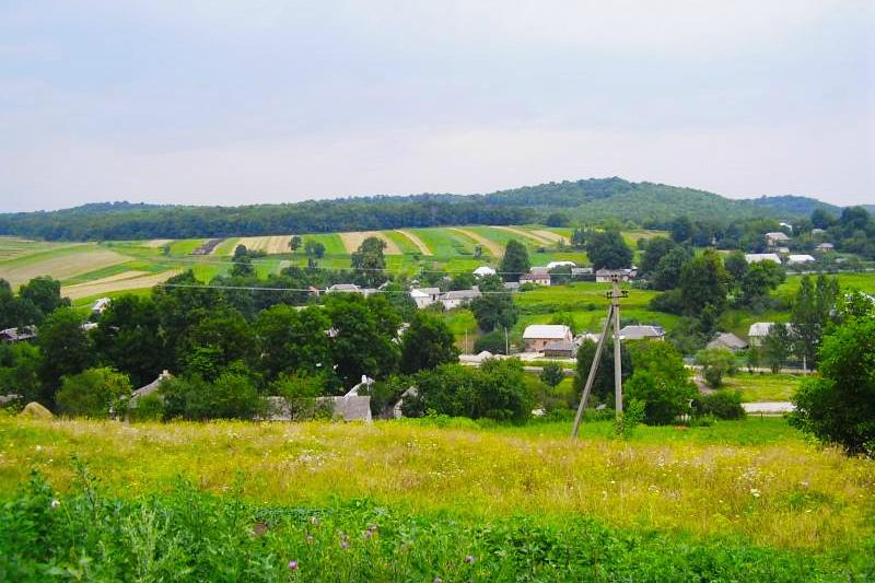 Українські села розвиватимуть за міжнародним досвідом