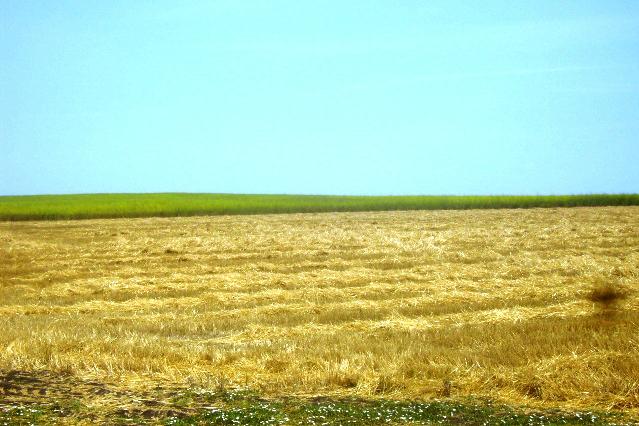 Переоформлення земельних паїв – найпоширеніший запит від бізнесу до АМКУ