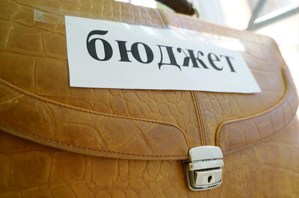 Дослідження доходів і видатків бюджету 2017 – інфографіка