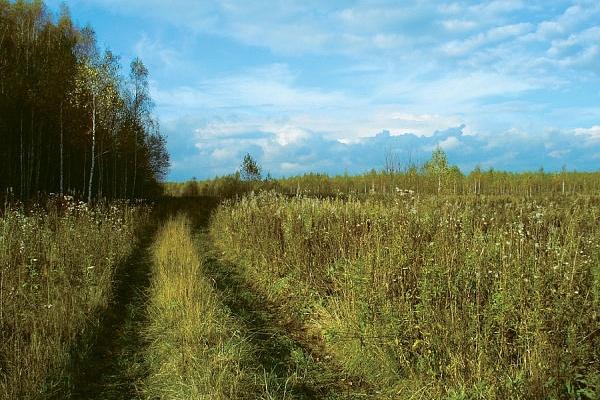 У Кабміні провели обговорення засад земельної реформи