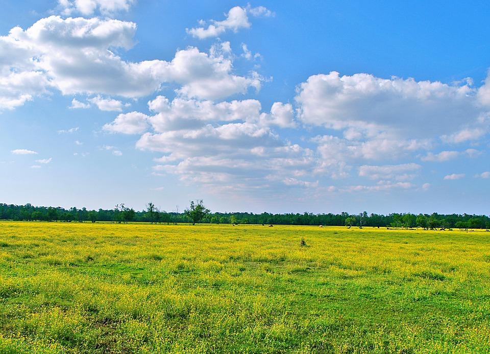 Відкривати поспіхом ринок землі не можна через дві вагомі причини