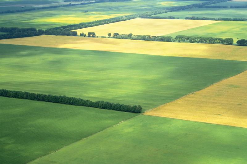 Американці допоможуть Україні з моніторингом в сільському господарстві