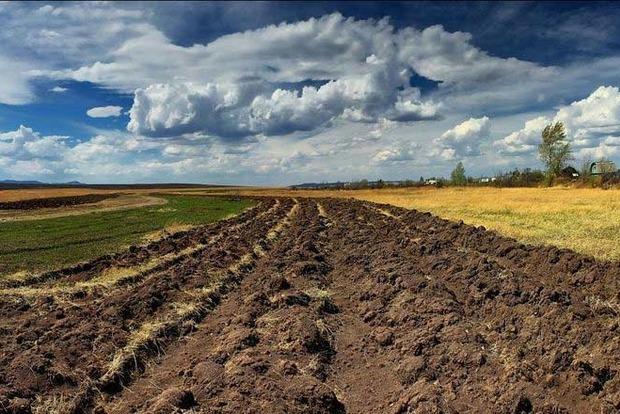 У Раді пропонують виділяти землі місцевим товаровиробникам  