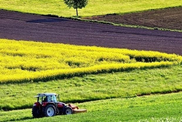 Ринок землі: юрособам можуть дозволити купівлю до 1 тис. га