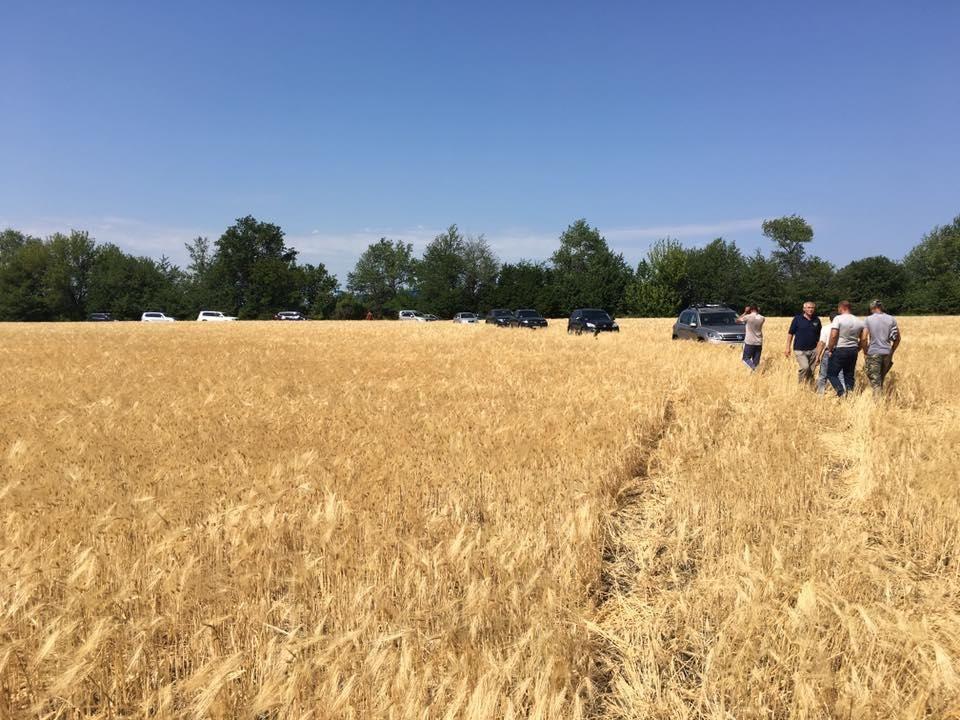 Підприємство на Житомирщині страждає від рейдерства