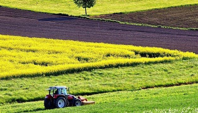 Холдингам визначили їхнє місце в рамках земельної реформи — думка