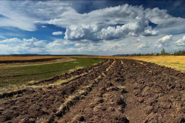 У Львівській області проведуть аудит земель с/г призначення