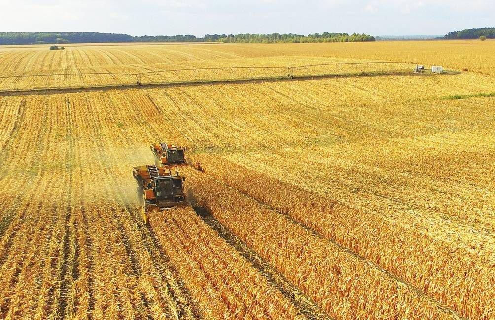 Кабмін пропонує провести 2018 року всеукраїнську оцінку сільгоспземель 