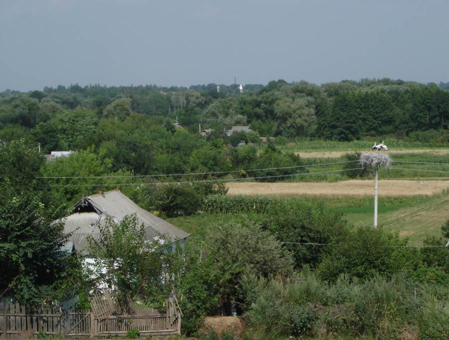 Розвиток фермерства та сільських територій щільно взаємопов'язані