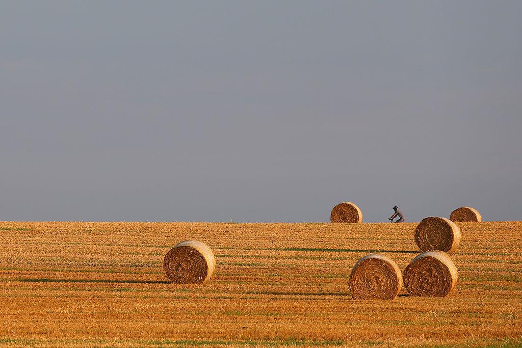 Після відкриття ринку землі її ціна зросте на 76,7%