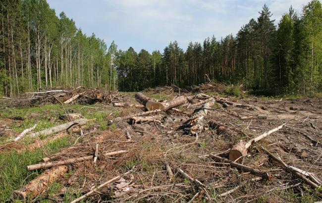 Держлісагентство постійно працює над тим, щоб ставати якомога відкритішим для суспільства.