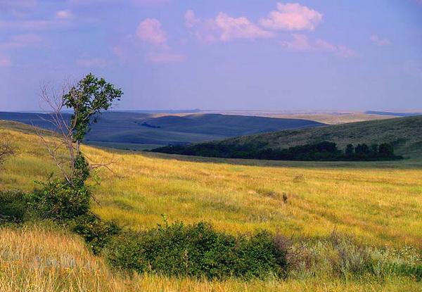 Озвучено дату зняття мораторію на землі