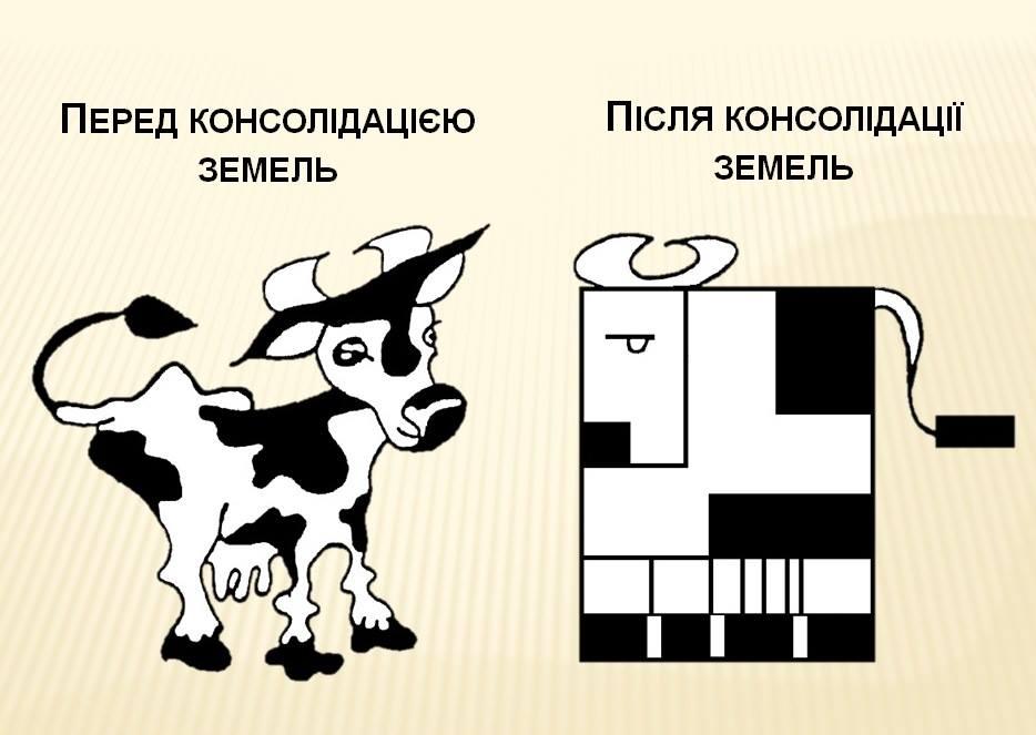 Озвучені основні положення законопроекту про консолідацію земель