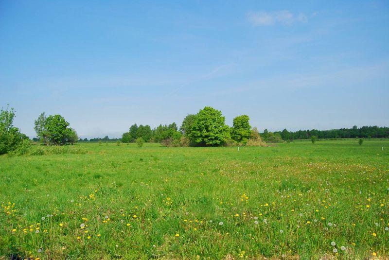 У Кабміні підрахували ціну гектара після земельної реформи