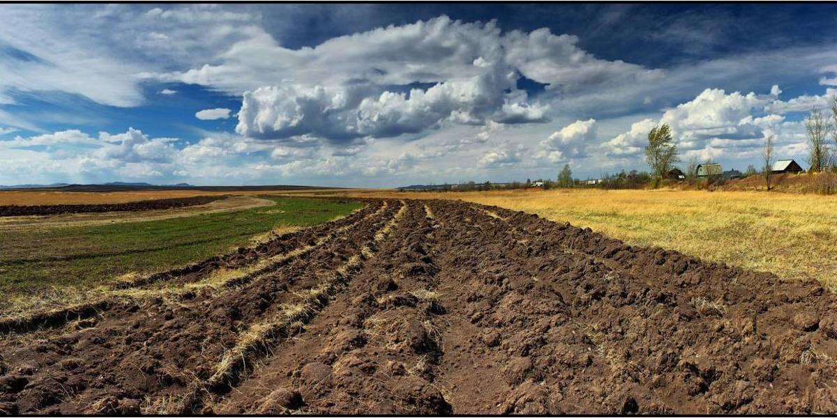 Підготовано новий законопроект про передачу земель громадам 