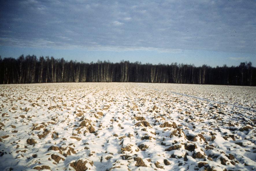 Фермер незаконно користувався землею протягом 13 років