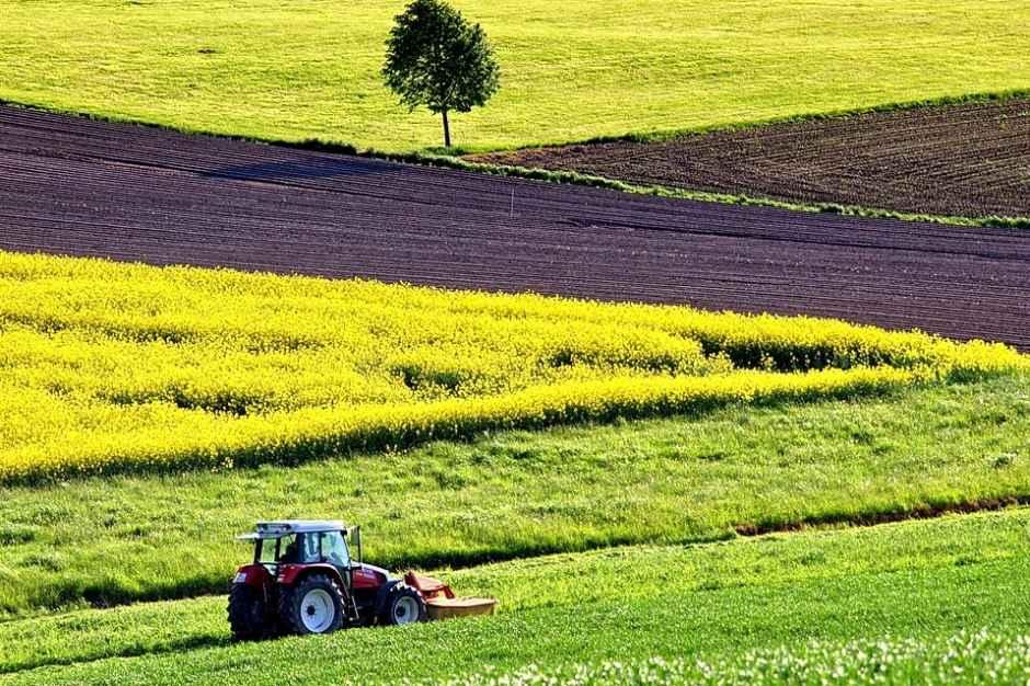 Мартинюк розказав про механізм передачі держземель громадам