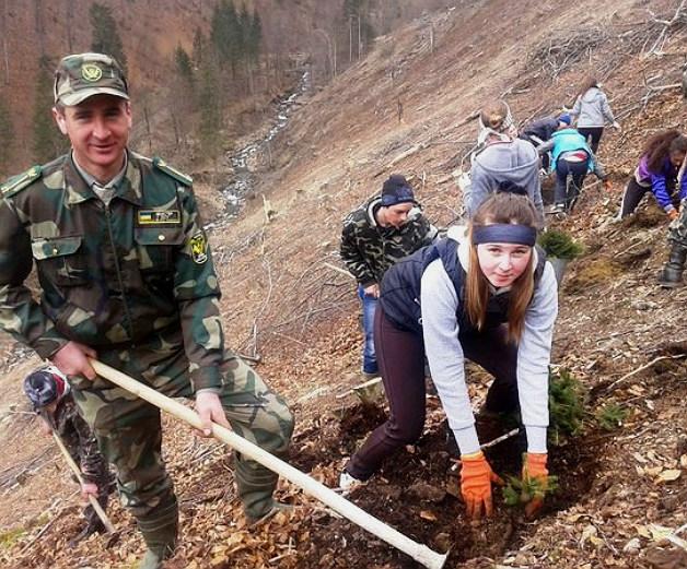 За місяць школярі з лісівниками висадять 55 тис. га лісу