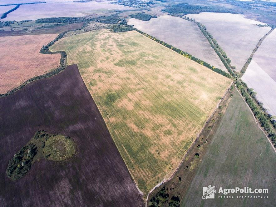 В Україні запустили новий проект із контролю за висловлюваннями та діями політиків і партій