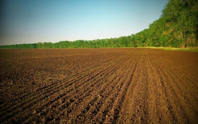 Відміна мораторію на землю може спровокувати судові позови аграріїв щодо компенсацій, – Міклош 