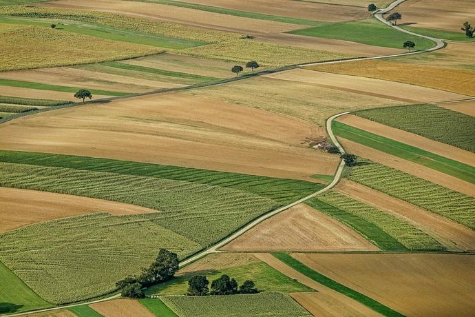 Близько 6,5 тис. українців після смерті віддали безкоштовно державі землю