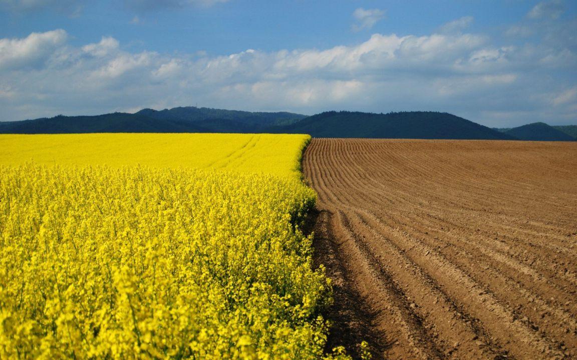 Жінки на марші: вперше в Україні оцінено стан гендерної рівності у земельних відносинах 