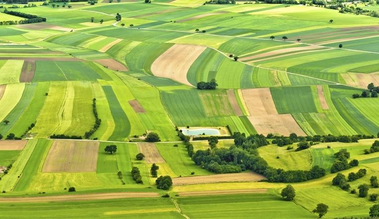 «Свобода» ініціювала законопроект, який забороняє торгівлю землею