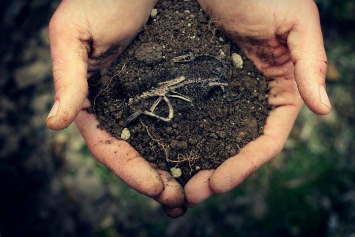 Через спрощення видачі землі військовим Держгеокадастр дерибанить землі