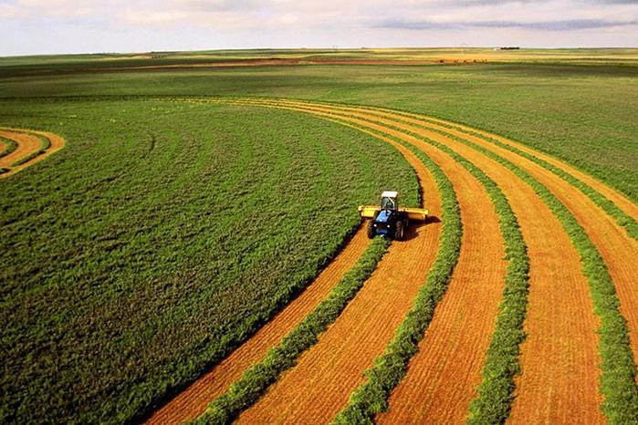 20% всіх орних земель України – деградовані, – ФАО