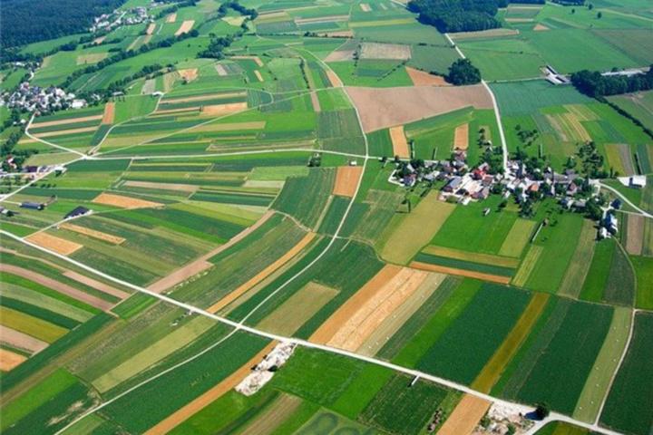 Держгеокадастр опублікував інформацію про нормативну грошову оцінку земель 